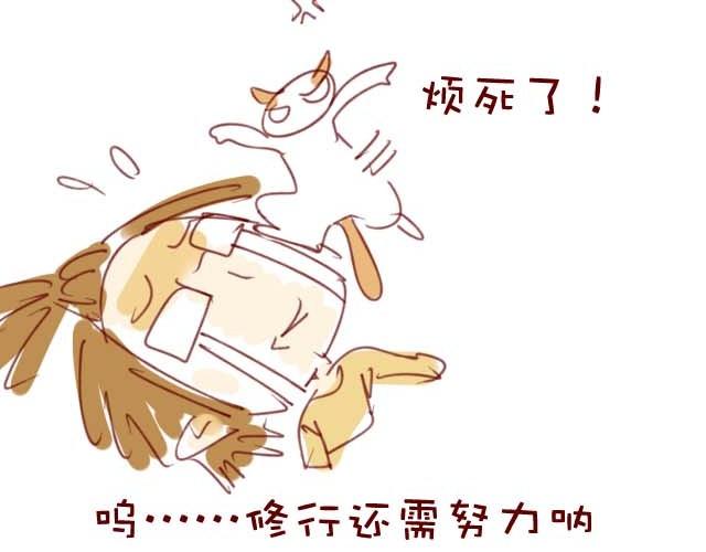 喵的圣意岂是人类可以揣摩的！7