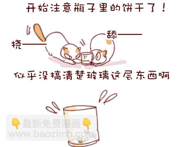 喵不喜欢玩游戏24