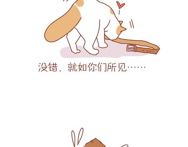 喵不喜欢玩游戏17
