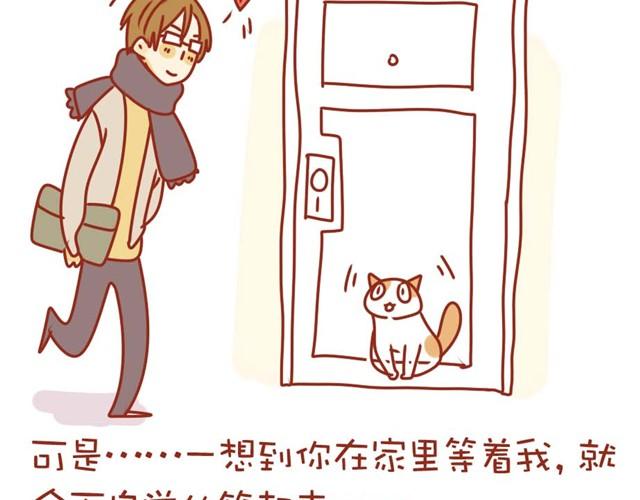 喵的圣意岂是人类可以揣摩的！27