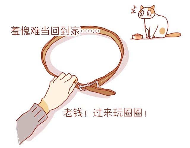 喵不喜欢玩游戏9