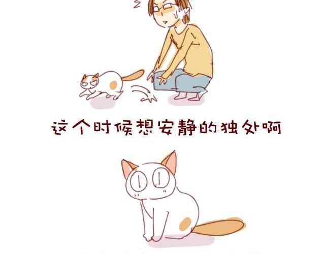 喵的圣意岂是人类可以揣摩的！3