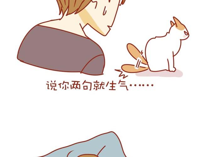 喵的圣意岂是人类可以揣摩的！13