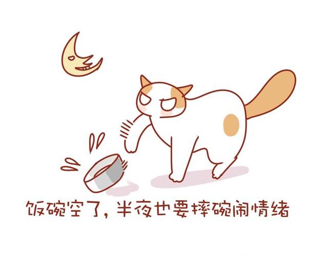 喵的圣意岂是人类可以揣摩的！20