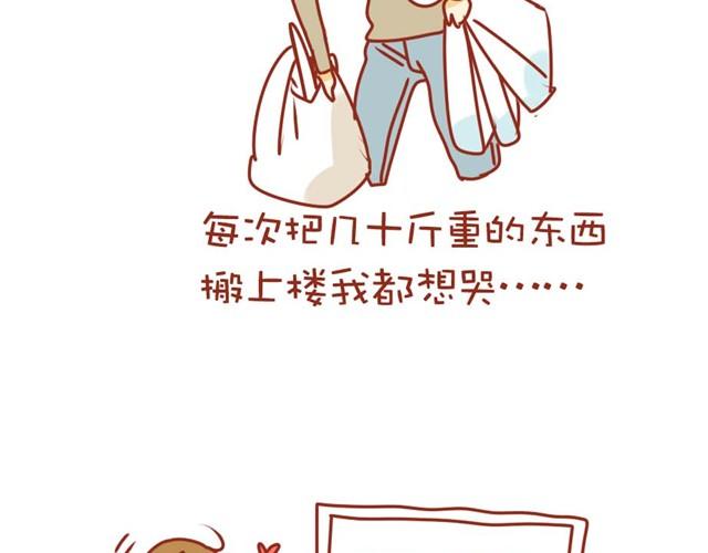 喵的圣意岂是人类可以揣摩的！26