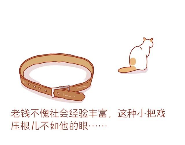 喵不喜欢玩游戏13