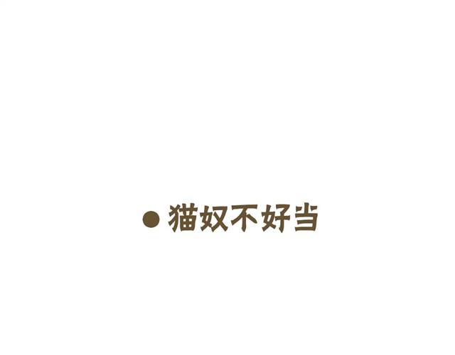 我的日常1