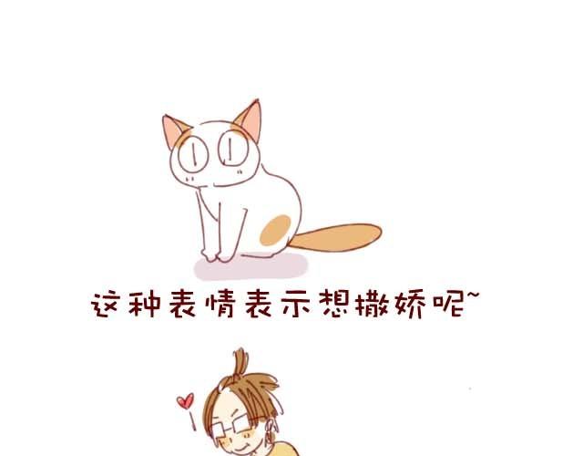 喵的圣意岂是人类可以揣摩的！1