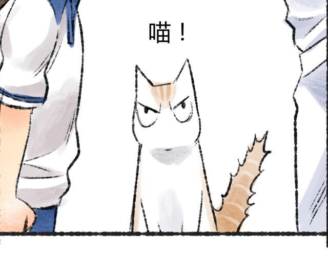 第1话 你的秘密49
