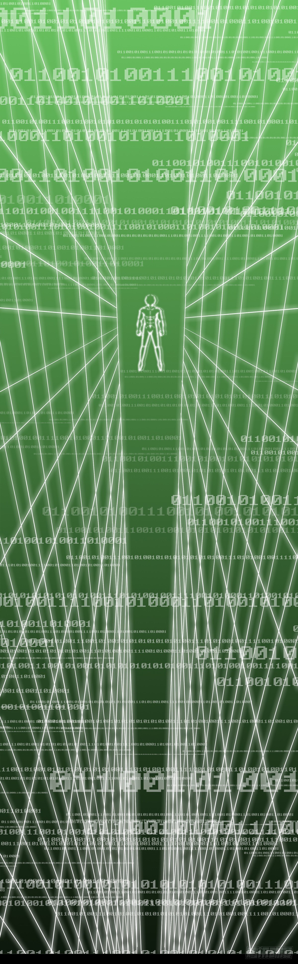 序15
