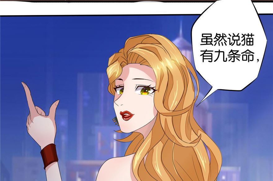 第1话 初遇猫咪12