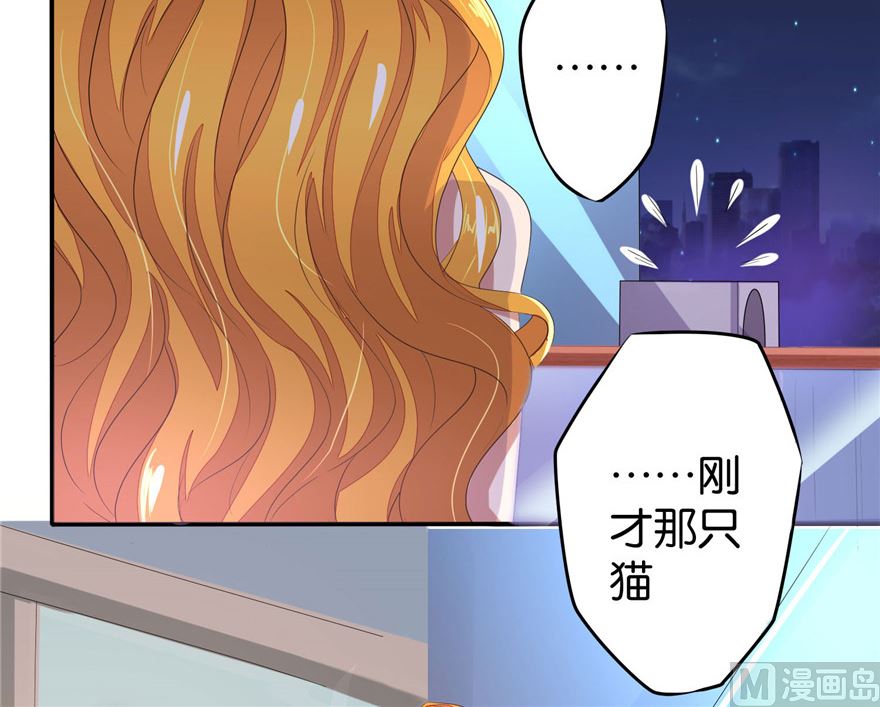 第1话 初遇猫咪18