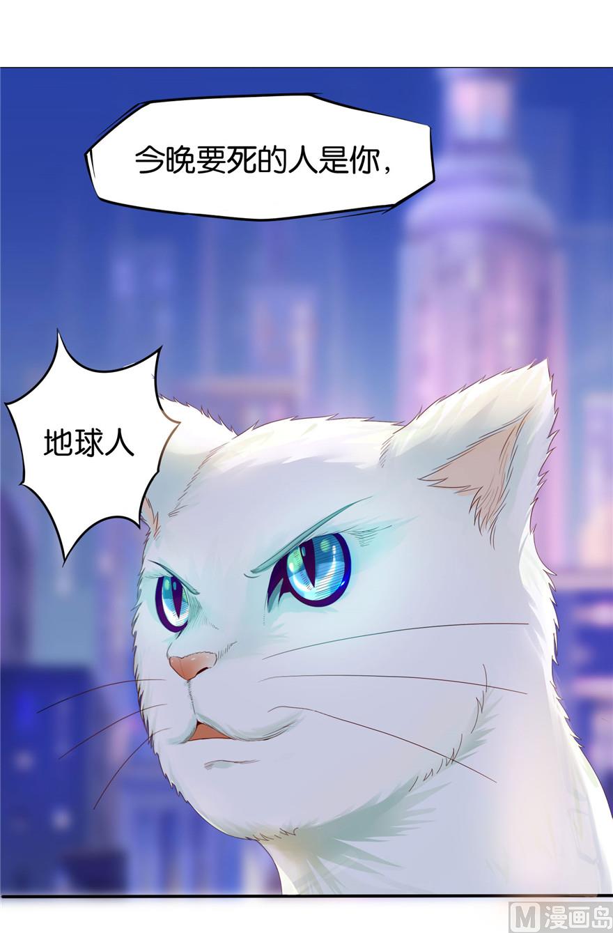 第1话 初遇猫咪15