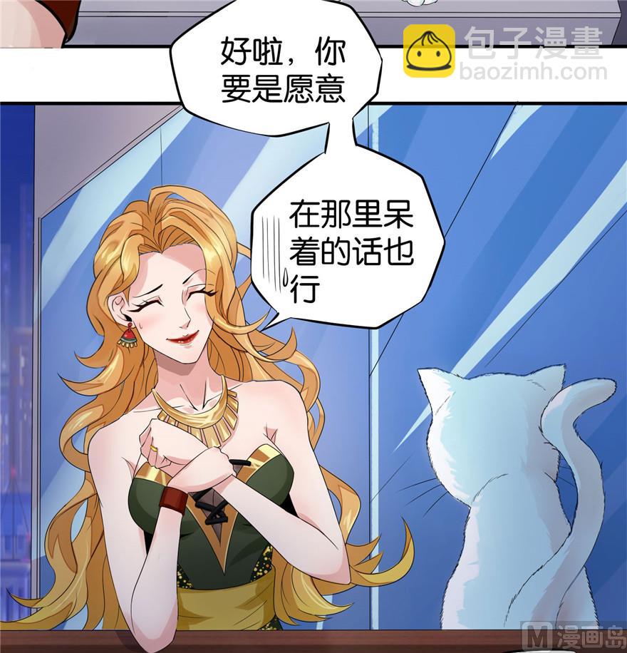 第1话 初遇猫咪11