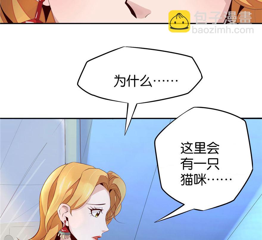 第1话 初遇猫咪4