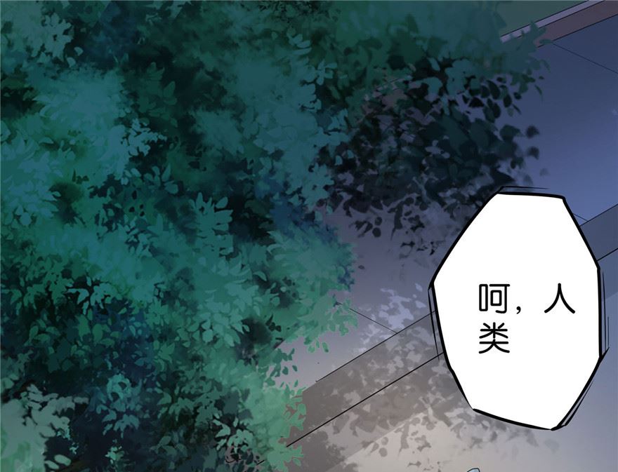第1话 初遇猫咪74