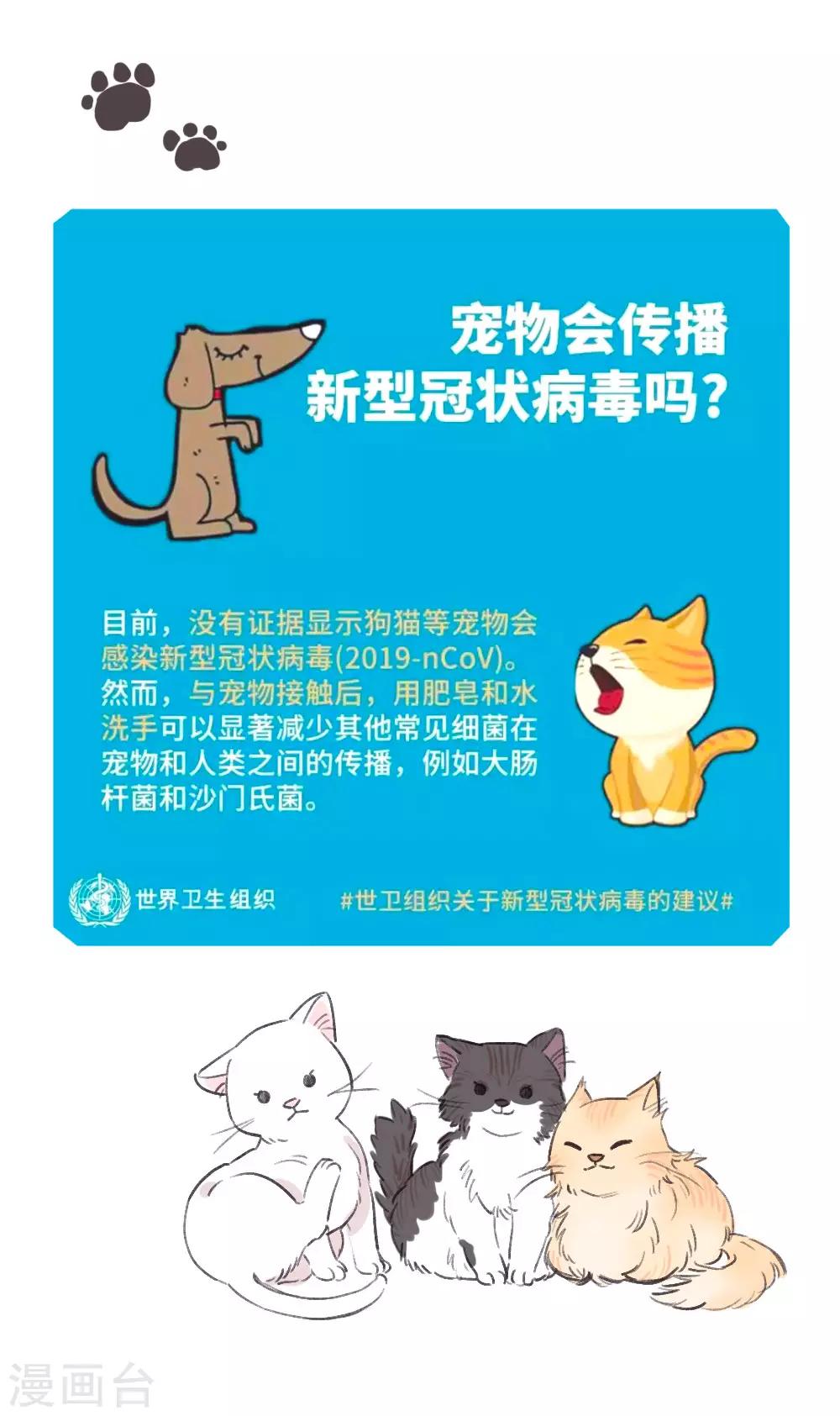全一话31