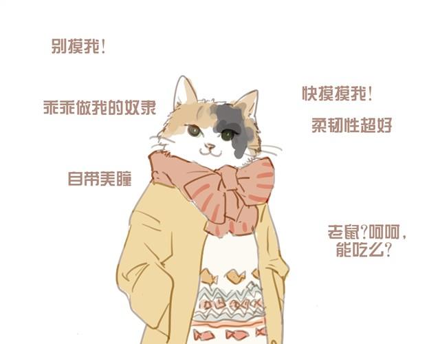 你喜欢哪种女朋友24