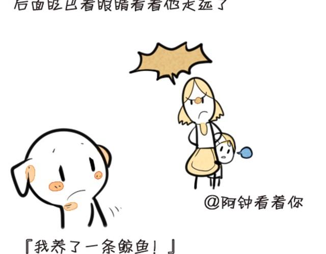 我养了一条鲸鱼14