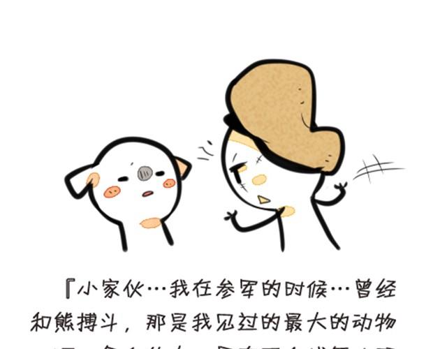我养了一条鲸鱼17