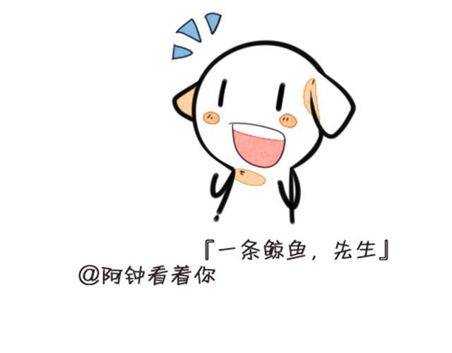 我养了一条鲸鱼7