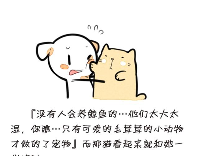 我养了一条鲸鱼4
