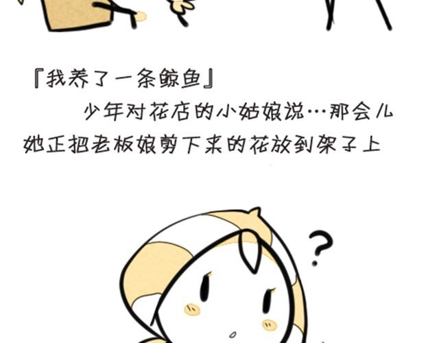 我养了一条鲸鱼10