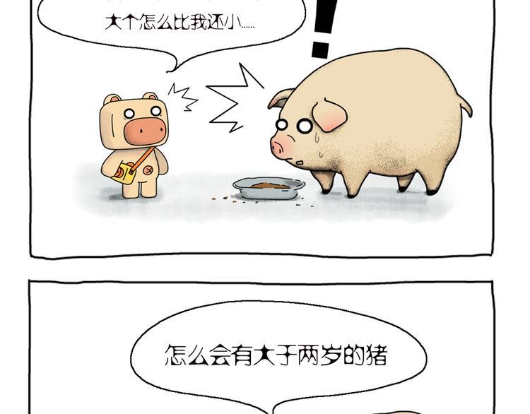 第1话 两只有追求的猪8