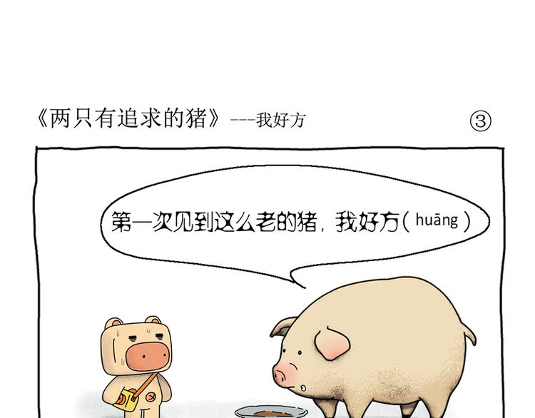 第1话 两只有追求的猪11