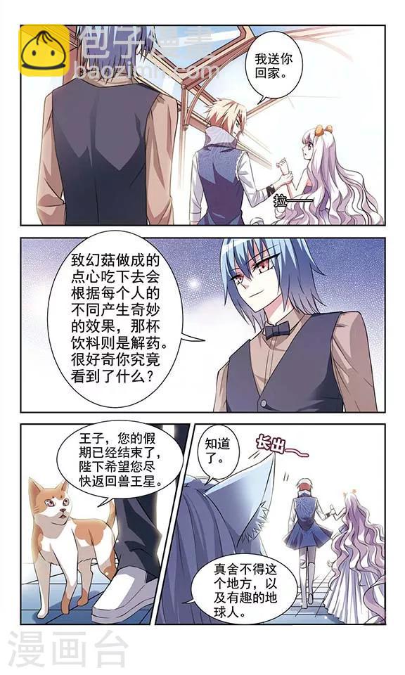 最终话 喵的假期14