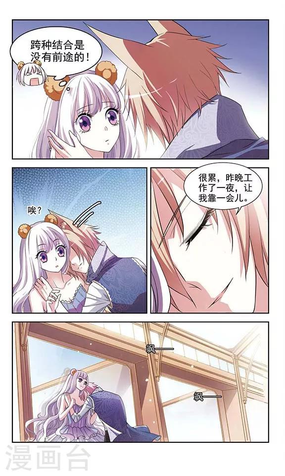最终话 喵的假期11