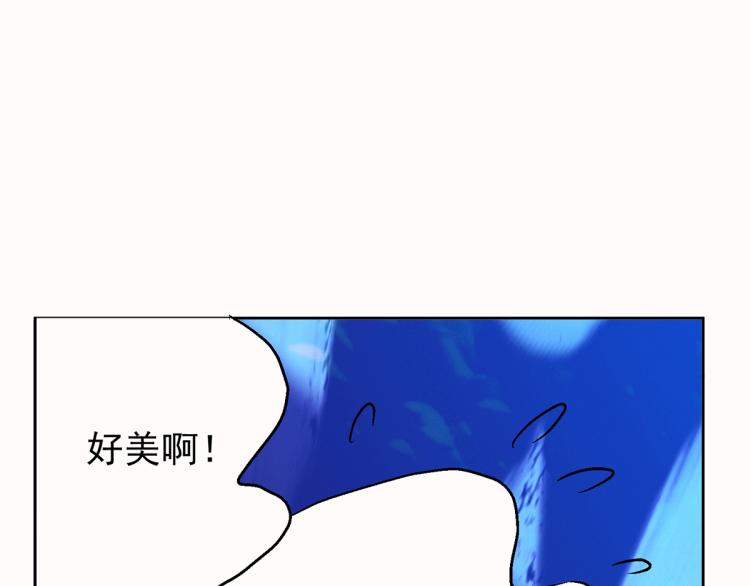 玫瑰的气味78