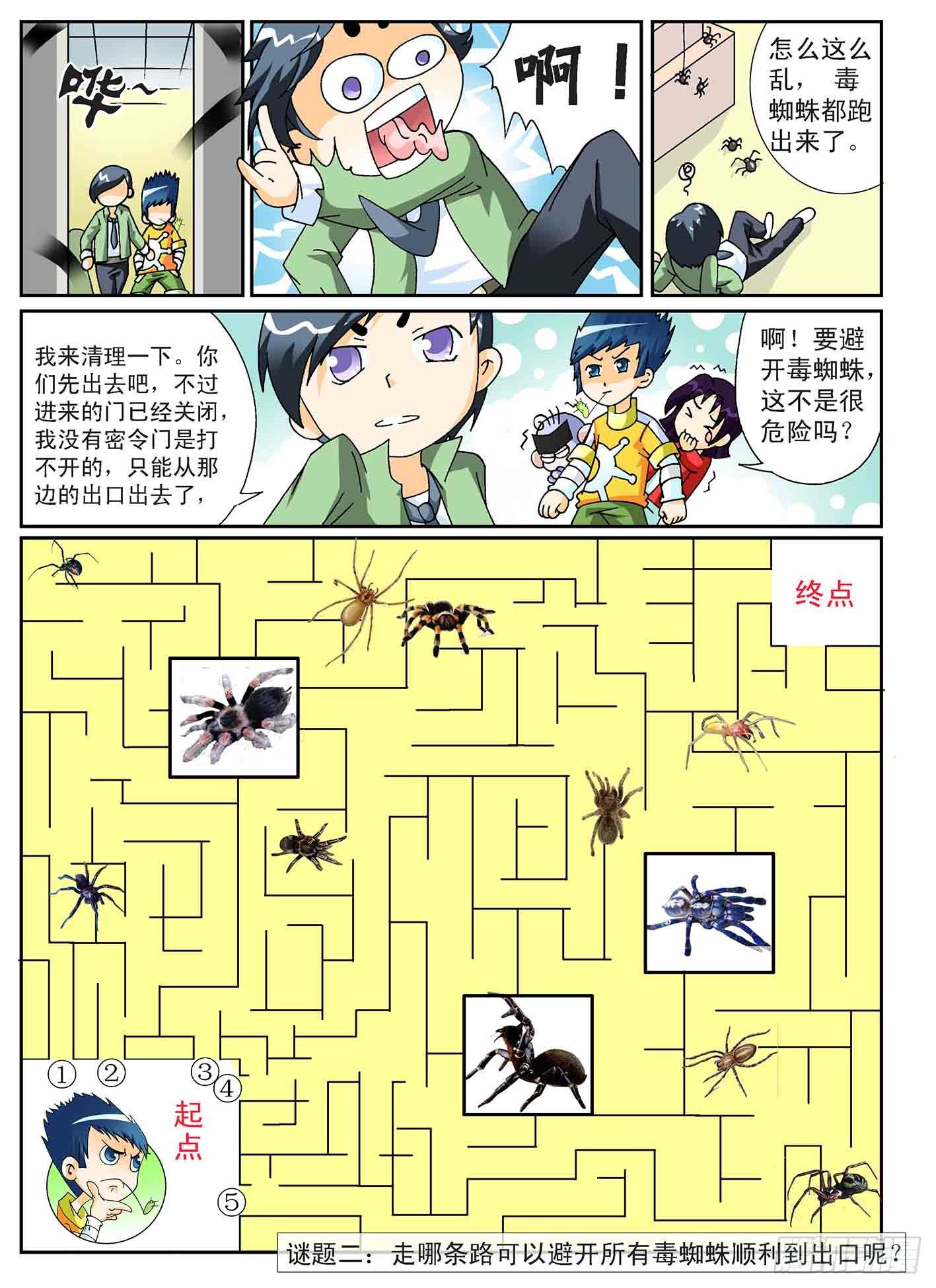 3-百万蜘蛛5