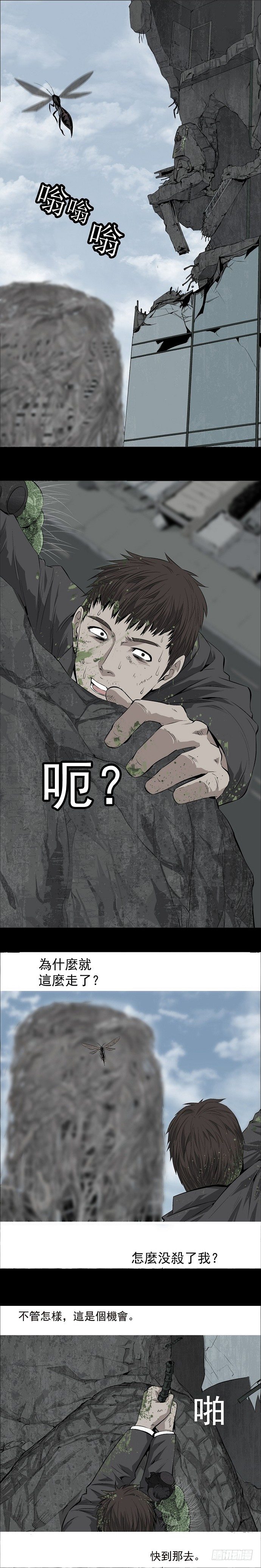 巧遇5
