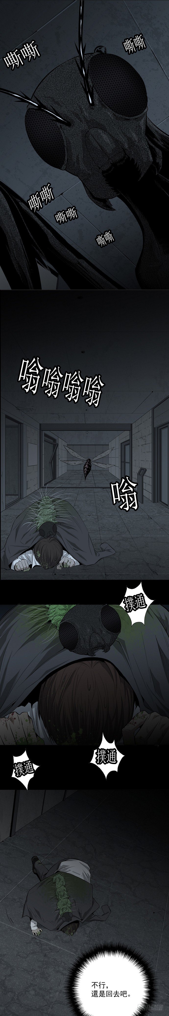 蚁群18