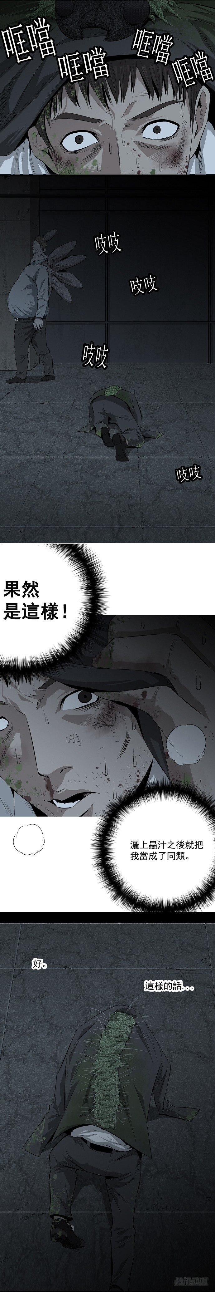 蚁群16