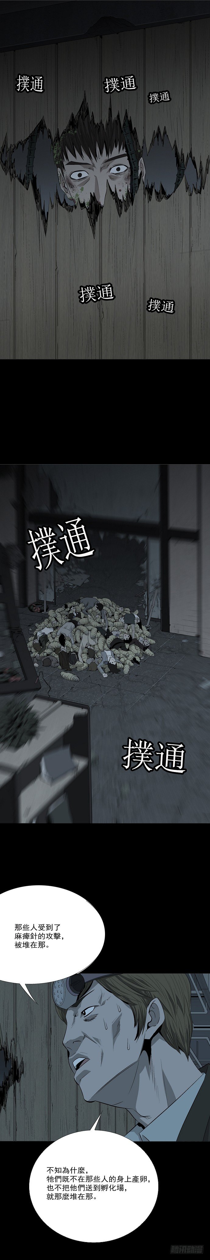 蚁群9