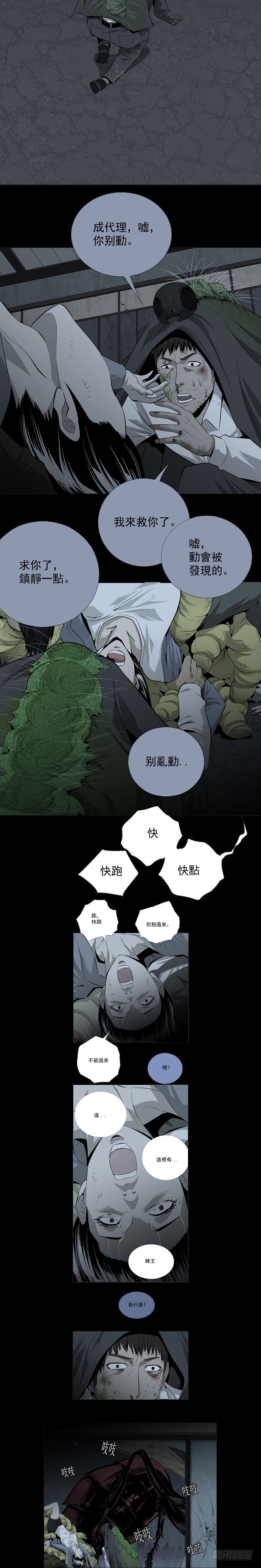 蚁群21