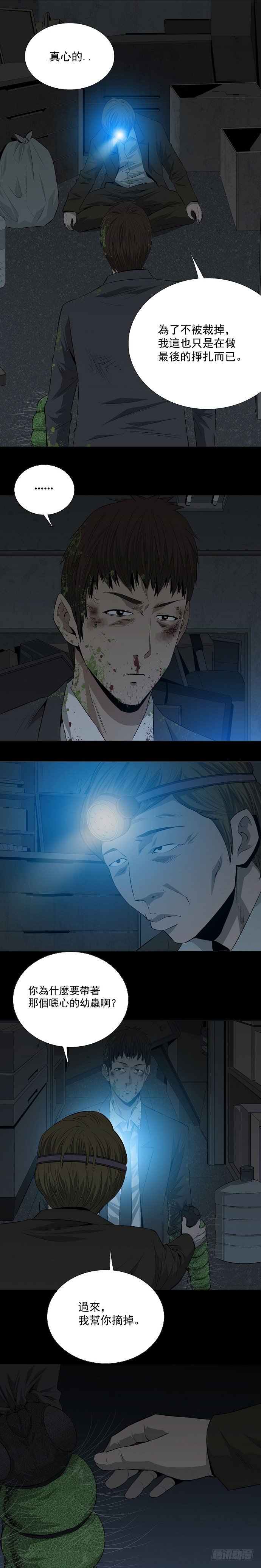 蚁群5