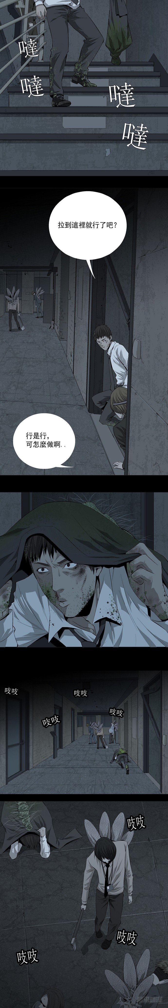 蚁群14