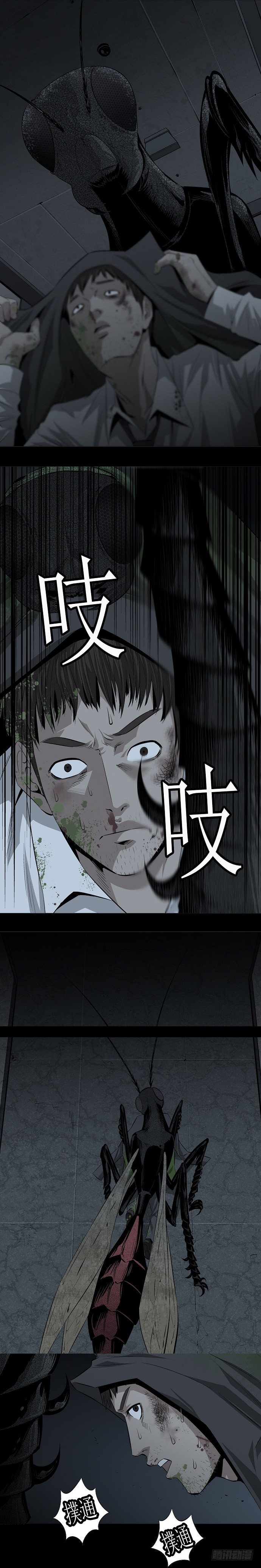 蚁群17