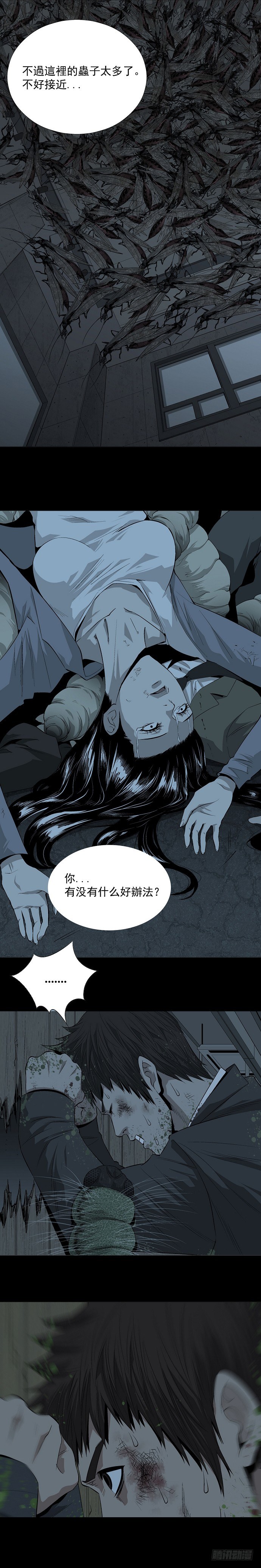 蚁群11