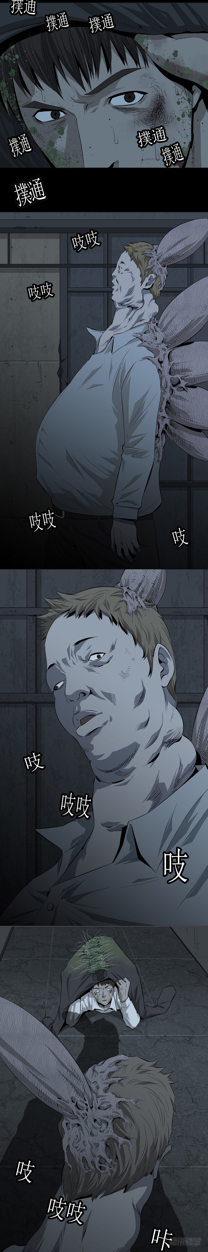 蚁群15