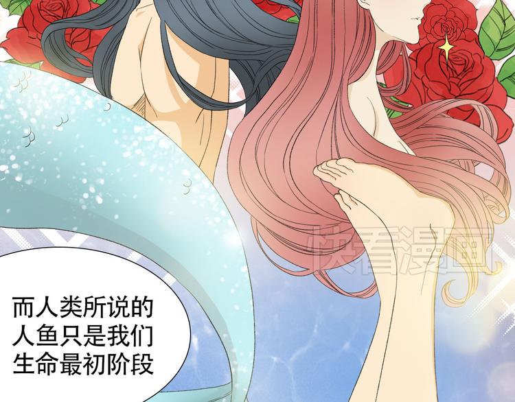 第2话 人鱼的交配方式是？15