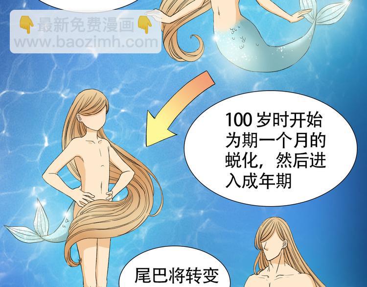 第2话 人鱼的交配方式是？31
