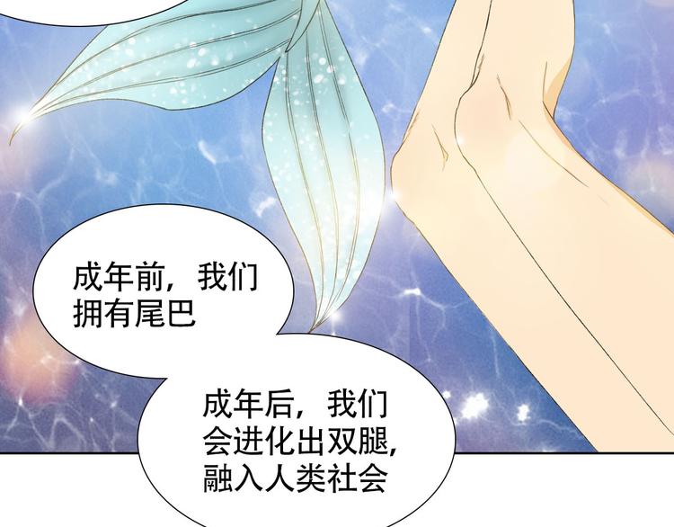 第2话 人鱼的交配方式是？16