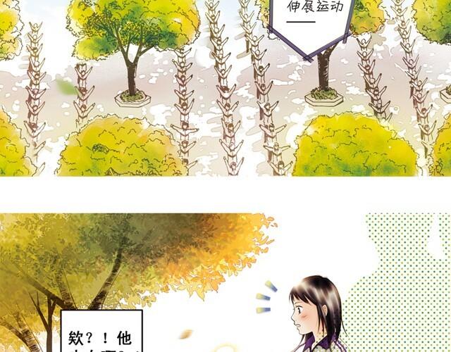 你所见到的那颗星#1 苦瓜男8