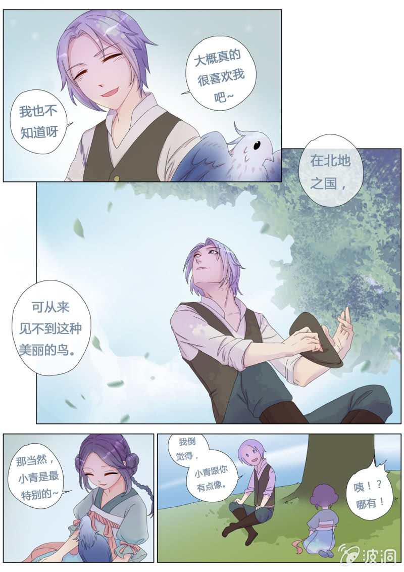 花田的幻象7