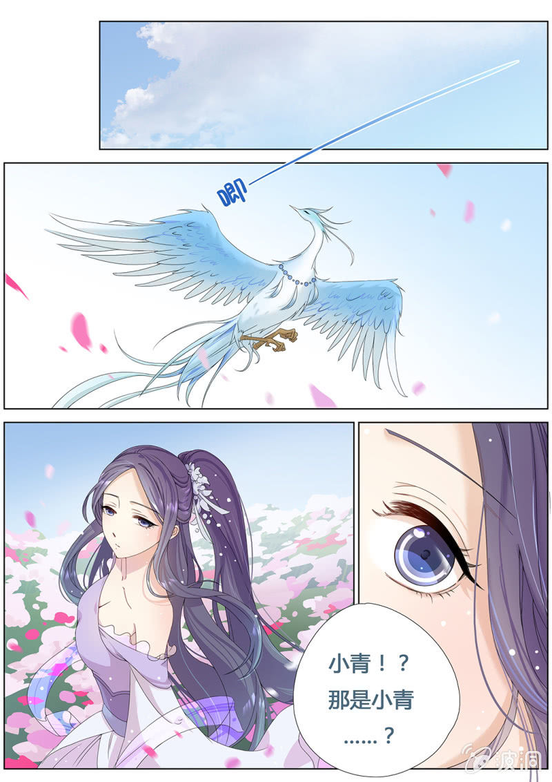 十年之约11