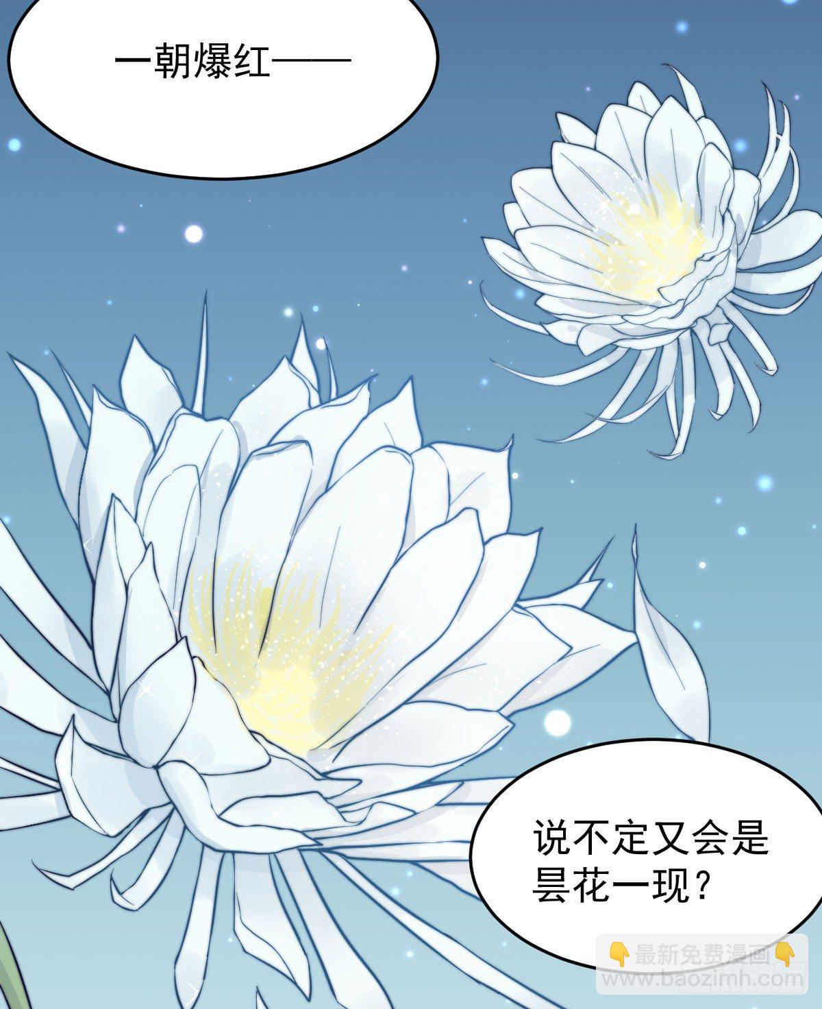 第二个试探29
